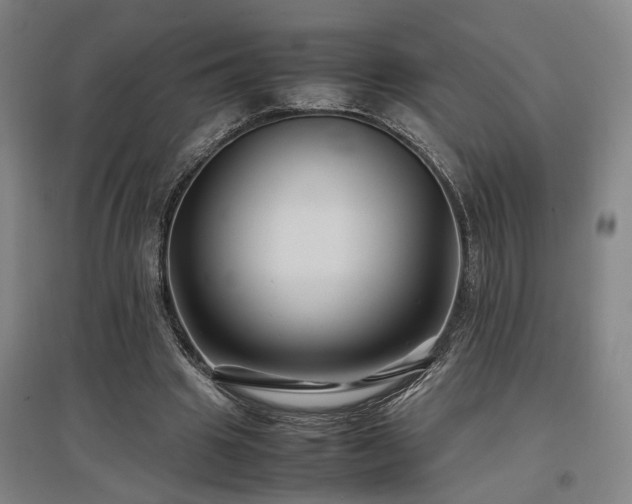 X0000097500441200802221448