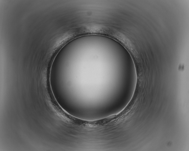 X0000097500442200802221448