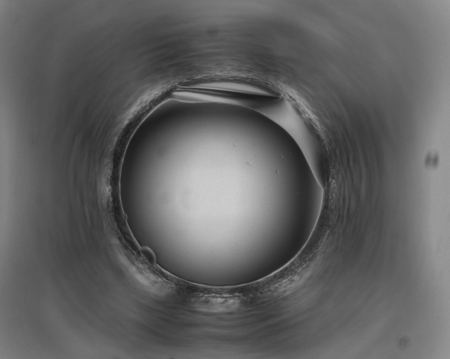X0000097500443200802221448