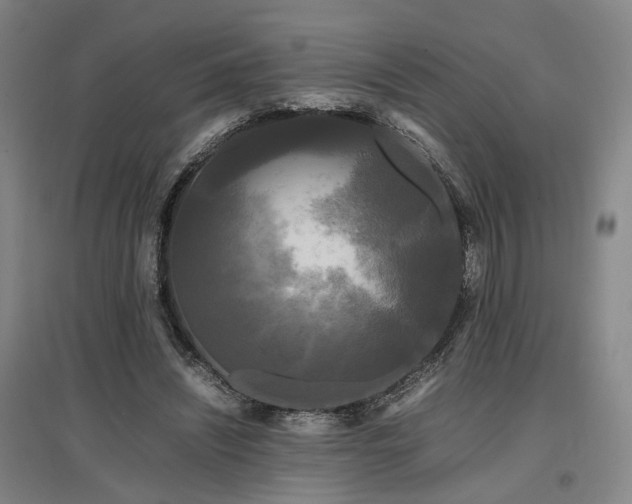 X0000097500444200802221448