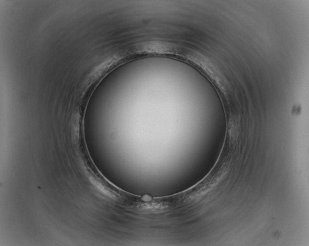 X0000097500445200802221448