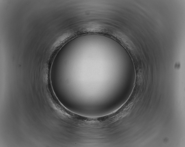 X0000097500446200802221448
