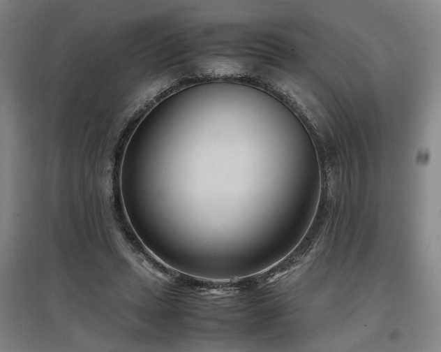 X0000097500447200802221448