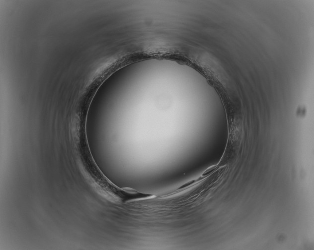 X0000097500448200802221448
