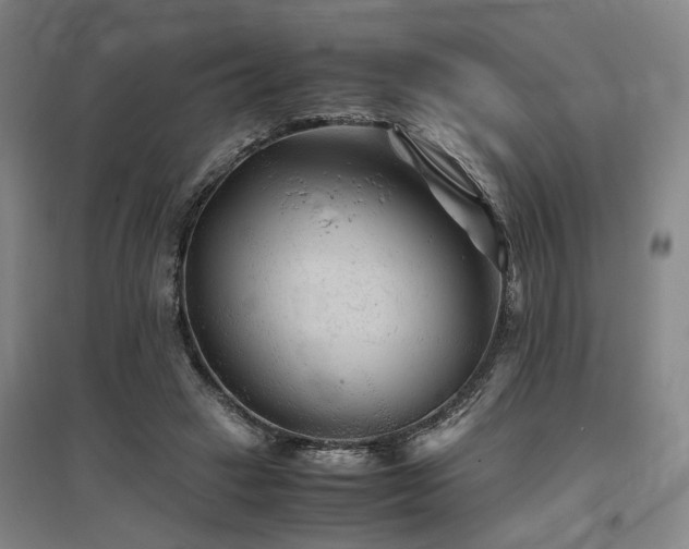 X0000097500449200802221448