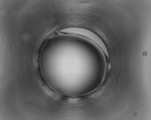 X0000097500450200802221448