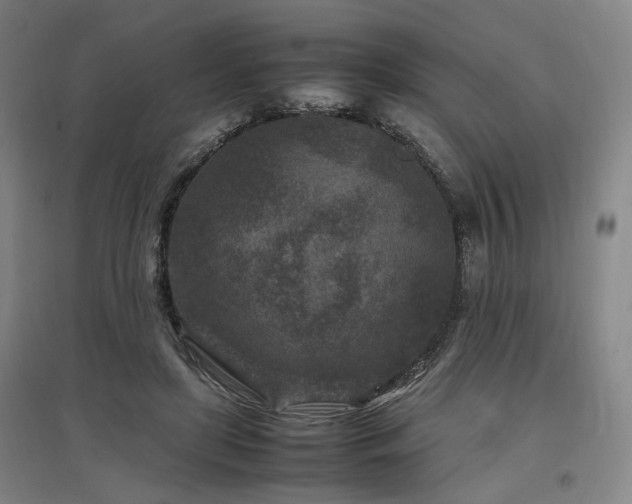 X0000097500451200802221448