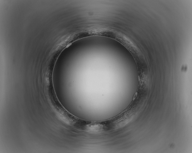 X0000097500452200802221448