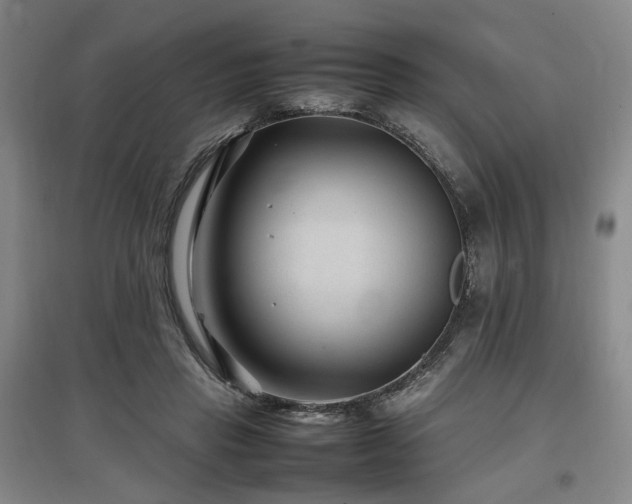 X0000097500453200802221448
