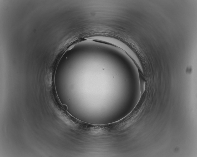 X0000097500454200802221448