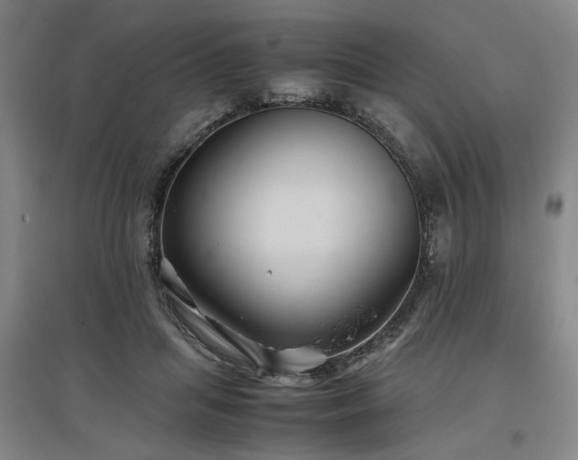 X0000097500455200802221448