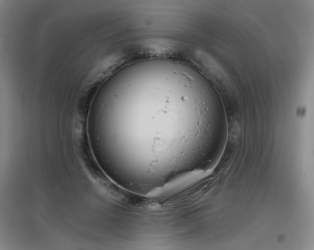 X0000097500456200802221448