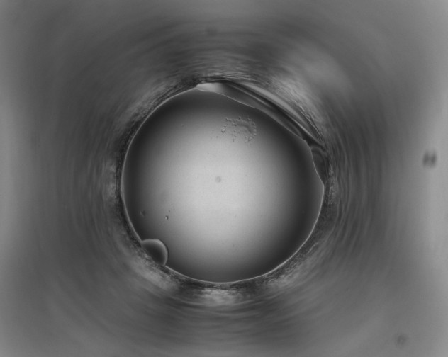 X0000097500457200802221448