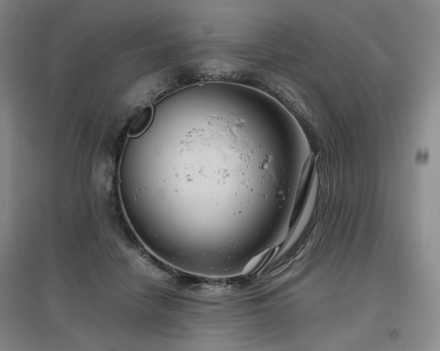 X0000097500458200802221448
