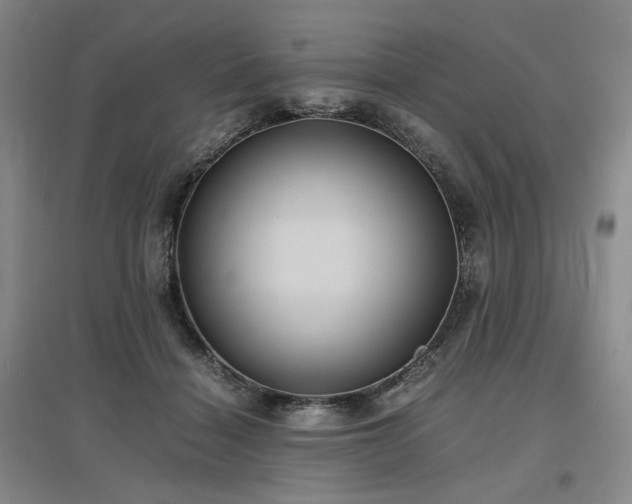 X0000097500460200802221448