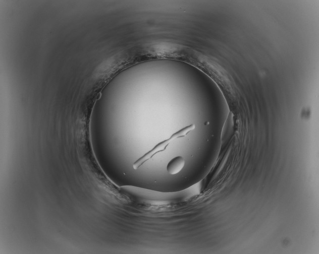 X0000097500461200802221448