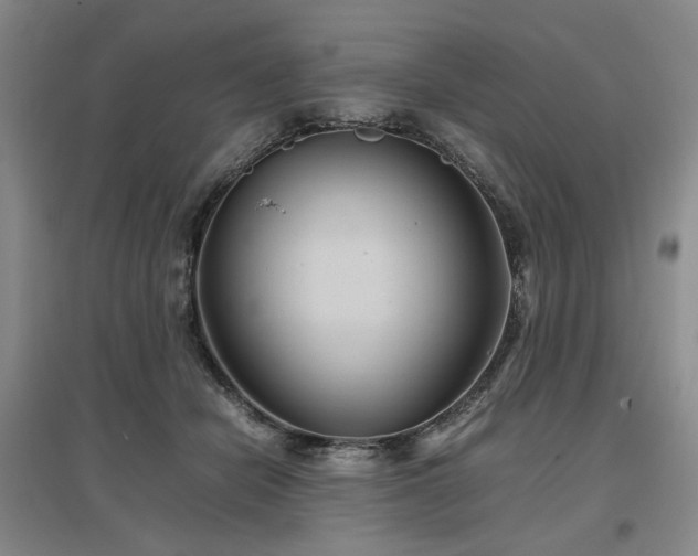 X0000097500462200802221448