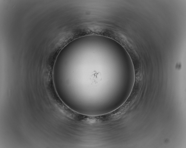 X0000097500464200802221448