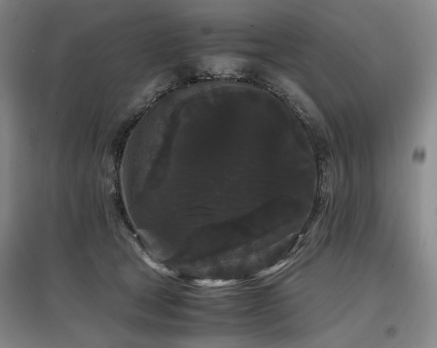 X0000097500465200802221448