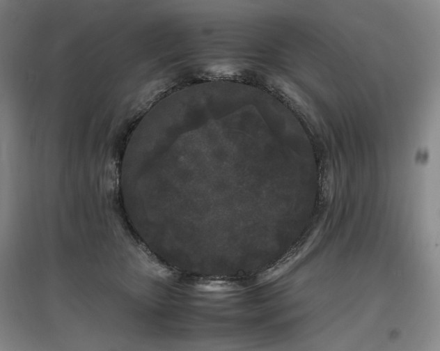 X0000097500467200802221448