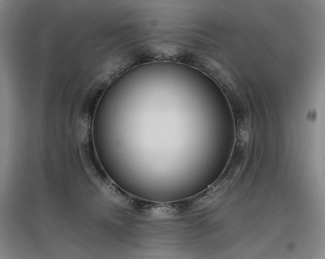 X0000097500468200802221448