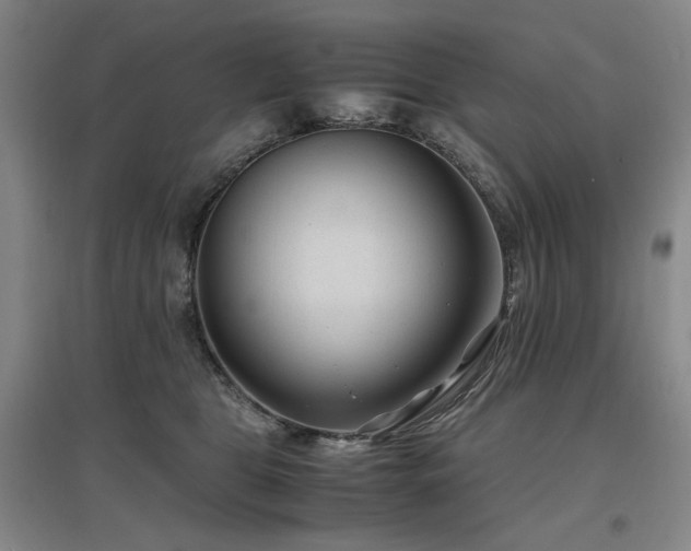 X0000097500469200802221448