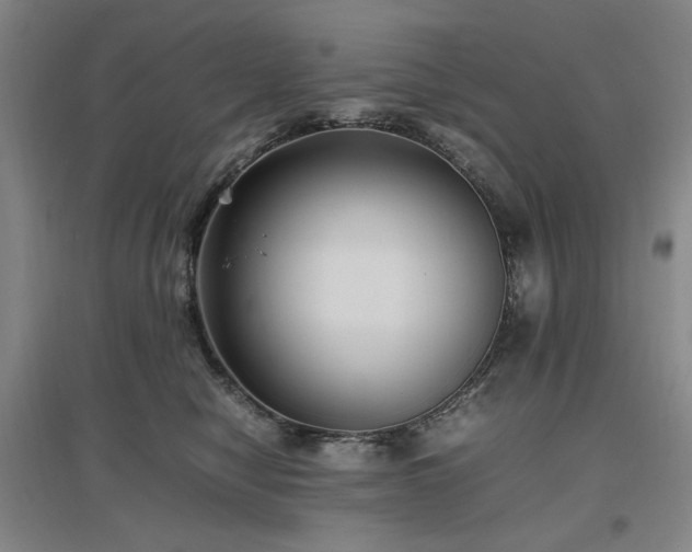 X0000097500470200802221448