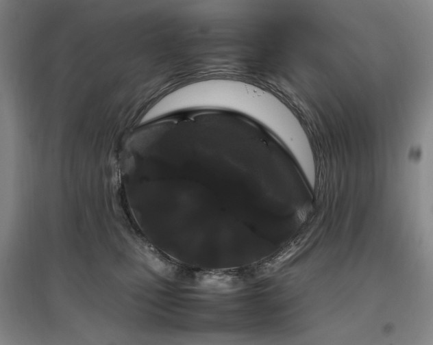 X0000097500471200802221448