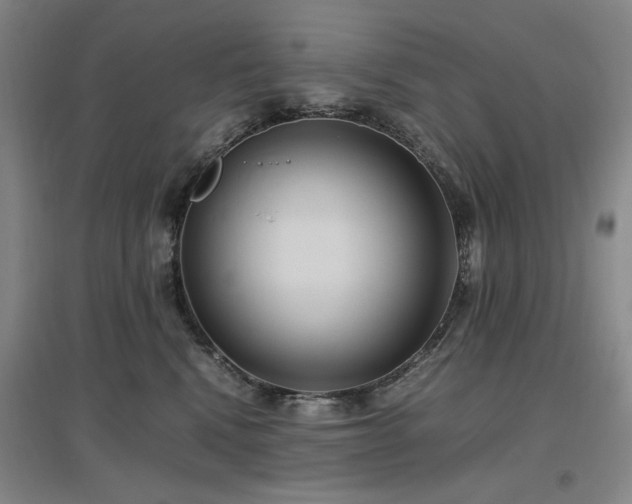 X0000097500472200802221448