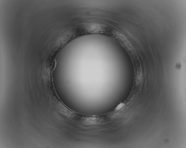 X0000097500473200802221448