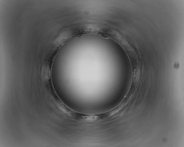 X0000097500474200802221448