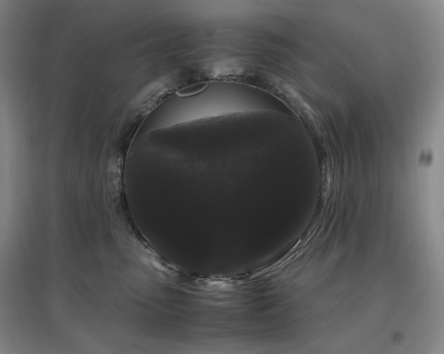 X0000097500475200802221448