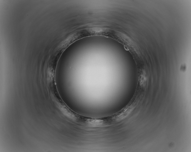 X0000097500476200802221448