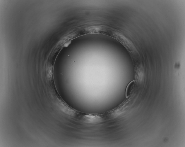 X0000097500477200802221448