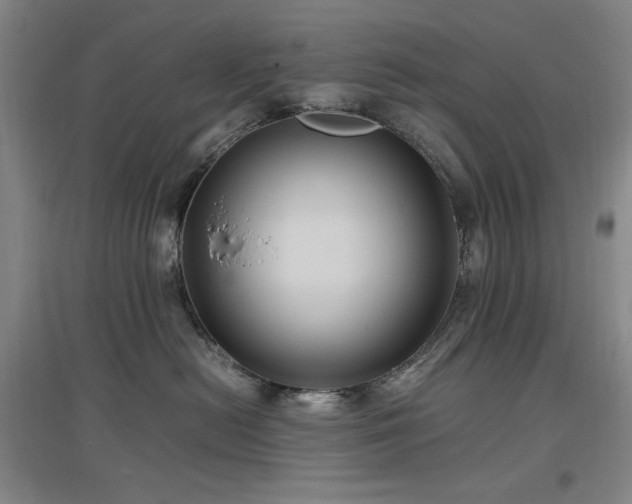 X0000097500478200802221448
