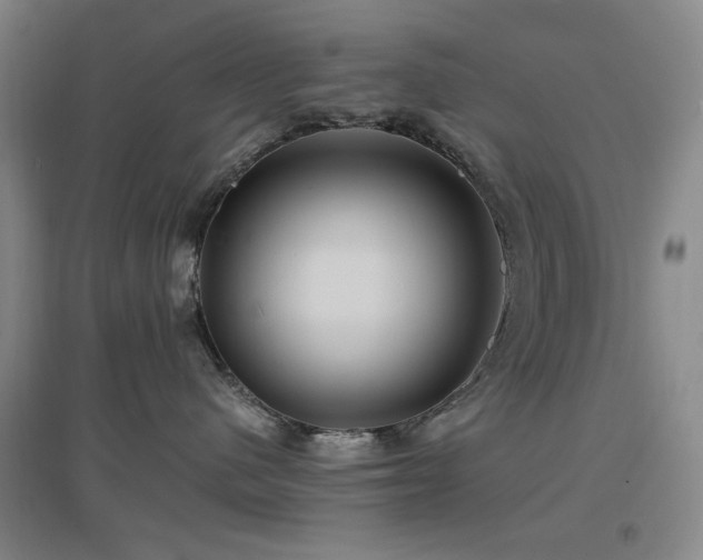 X0000097500480200802221448