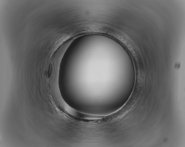X0000097500481200802221448