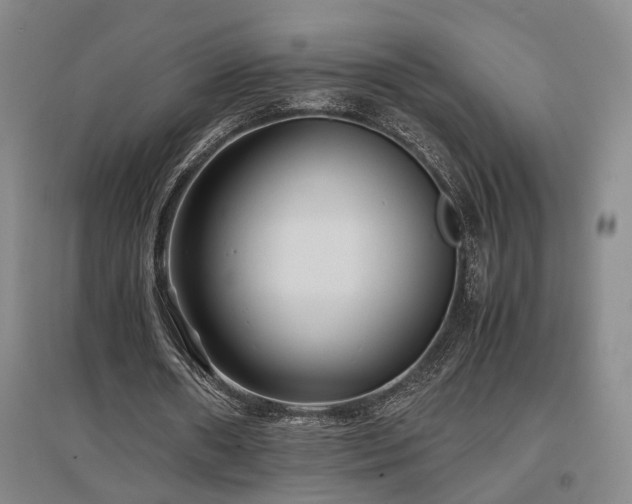 X0000097500482200802221448
