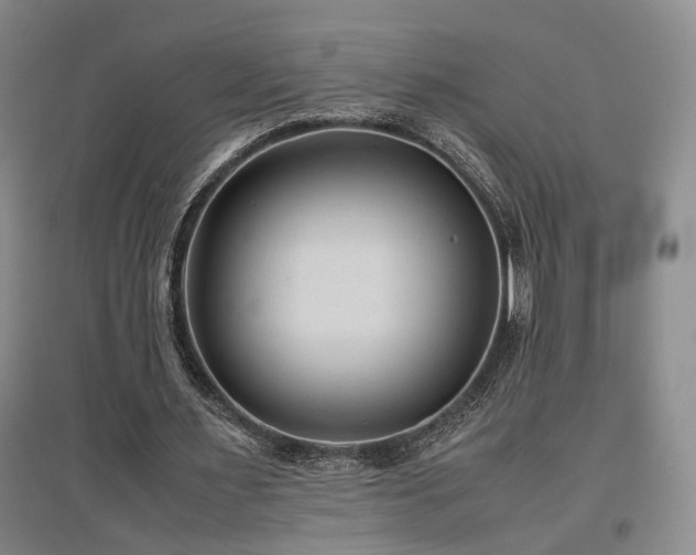 X0000097500483200802221448