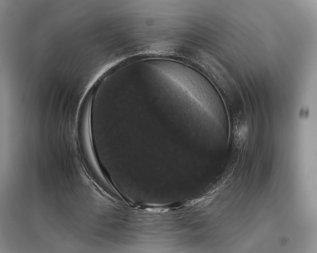 X0000097500484200802221448