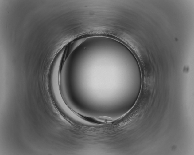 X0000097500485200802221448