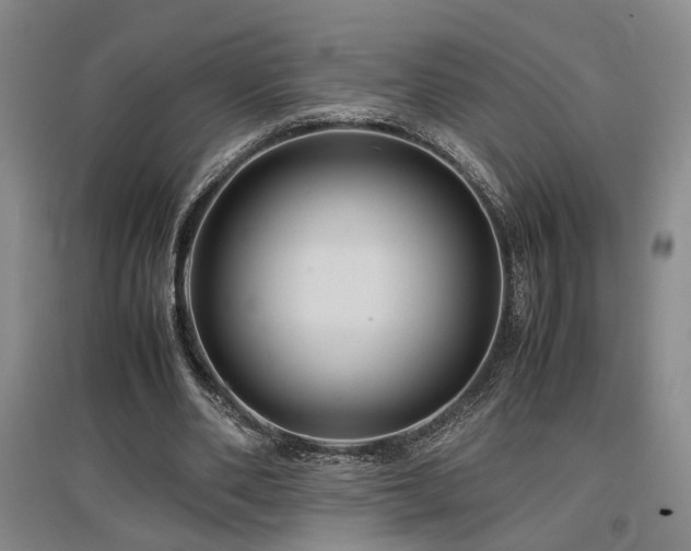 X0000097500486200802221448
