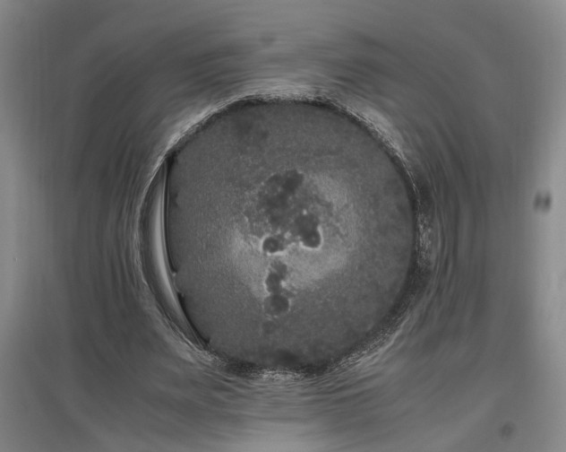 X0000097500487200802221448