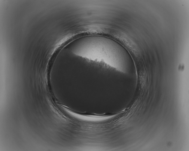 X0000097500488200802221448