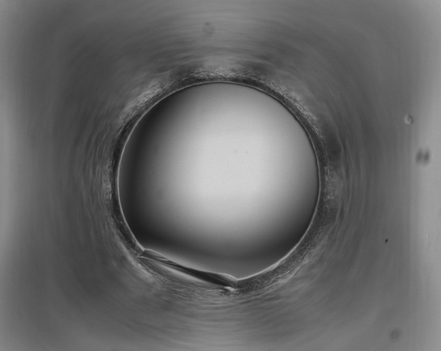 X0000097500489200802221448