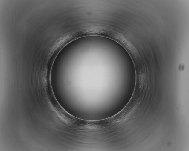 X0000097500490200802221448