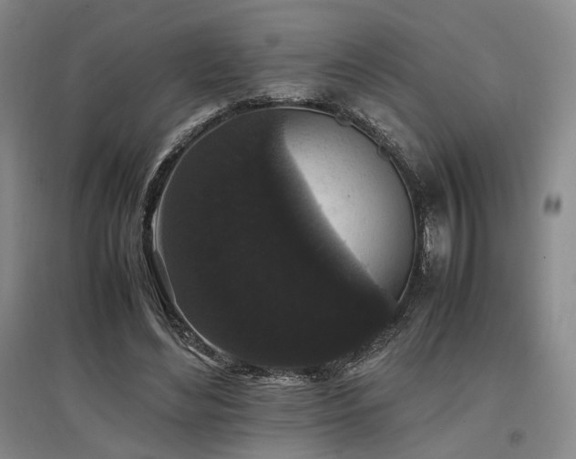 X0000097500492200802221448