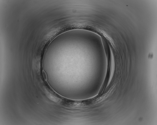 X0000097500493200802221448
