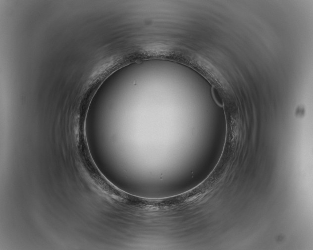 X0000097500494200802221448