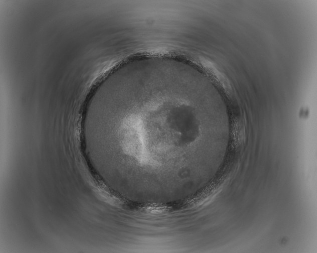 X0000097500495200802221448